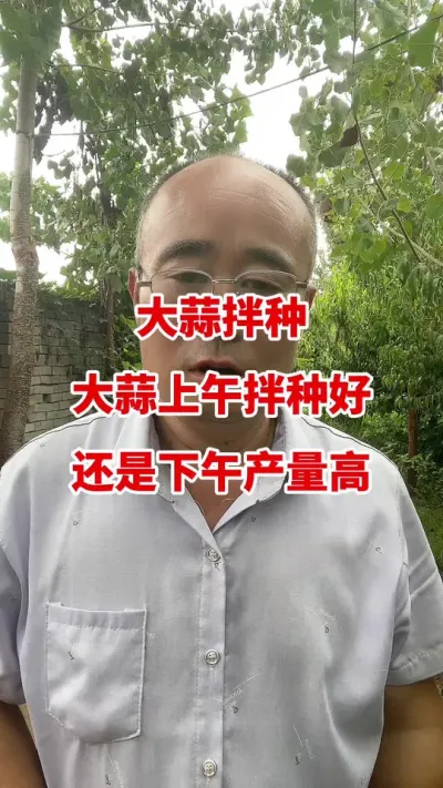 大蒜拌种大蒜是上午拌种好还是下午拌种好#大蒜拌种 #大蒜种植 #大蒜高产 #大蒜种植技术