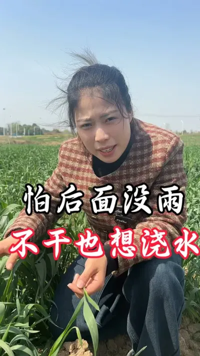 都在浇水，我要不要浇水##最近天气 #抗旱浇地
