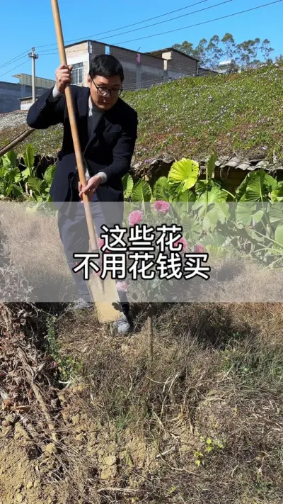 有了这些方法很多花，不用花钱买 #花卉绿植 #养花 #种植小技巧