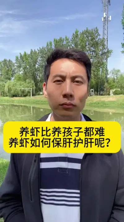 养虾比养孩子都难，养虾如何保肝护肝呢？#南美白对虾养殖 #小棚养虾 #南美白对虾 #冬棚养虾 #创作灵感