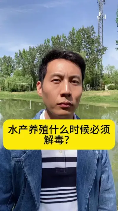 水产养殖什么时候必须解毒？改底后用不用解毒呢？#水产养殖 #南美白对虾 #小棚养虾 #冬棚养虾 #创作灵感