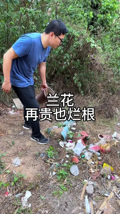 不会养兰花，再贵也会有烂根#花卉绿植 #养花