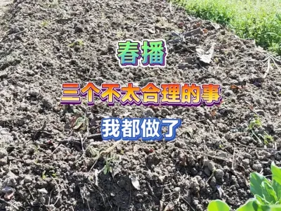 用隔年的种子，没发酵过的枯枝落叶，春天种萝卜，这些觉得合理吗 #新农人计划2025 #我的乡村生活 #三农 #一份耕耘一份收获 #抖音助农 