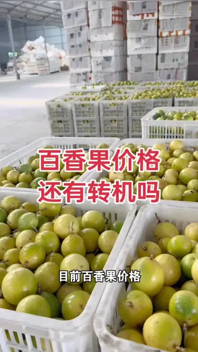 百香果价格还有转机吗？#百香果 #百香果行情 #百香果种植技术 #百香果种植 #浩伟方