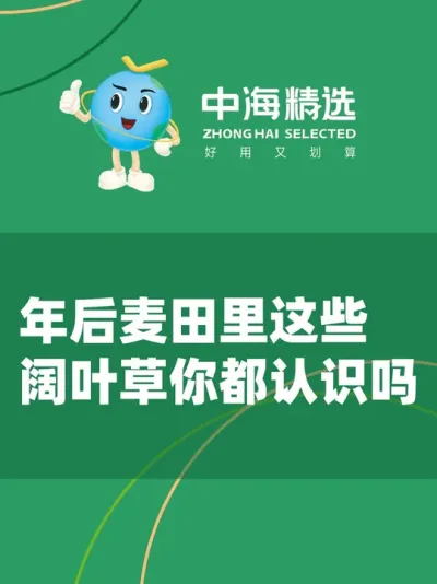 年后麦地里的这些草你们都认识吗？ #三农 #农业种植 #农村生活 #农民 #中海精选