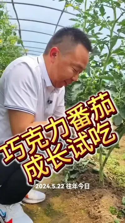 #三农流量扶持计划 #农业种植小技巧 #三农流量扶持计划 @生菜杨姐(21号晚八点半黑帆活动)