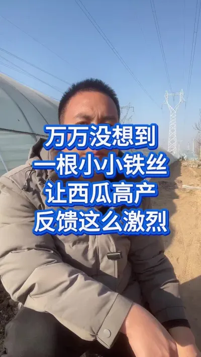 一根铁丝，让西瓜狂赚50万 #西瓜管理 #大棚西瓜 #服务三农支持三农 #西瓜种植技术 #西瓜