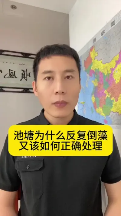 池塘为什么反复倒藻？又该如何正确处理？#水产养殖 #南美白对虾 #对虾养殖 #养虾人#创作灵感