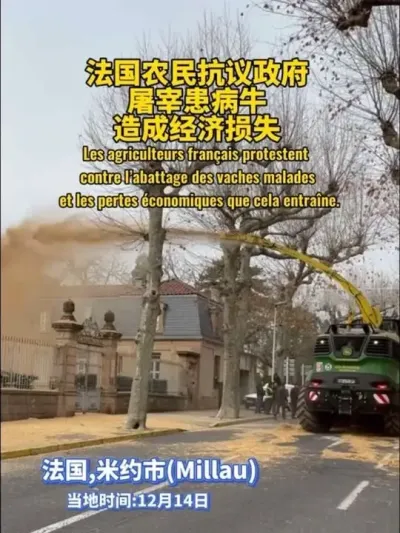 年底了，法国农民又开始忙活起来了 #法国 #海外 #法国农民