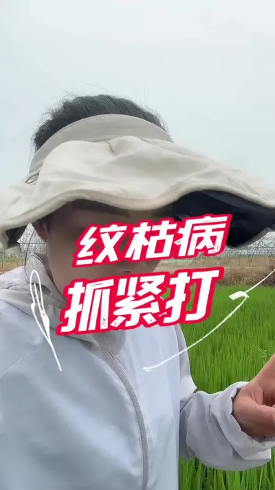 水稻纹枯病发生严重，抓紧查查你家田里有没有#分享农业知识帮农民增产增收 #老百姓关心的话题