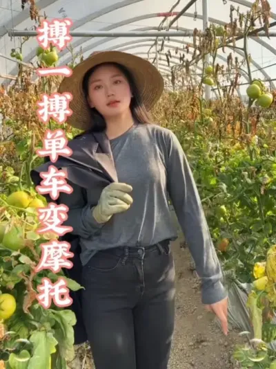 如果巅峰留不住、那就重走来时路！#我的乡村生活 #农业种植 #西红柿种植 #积极又向上  #如果巅峰留不住那就重走来时路