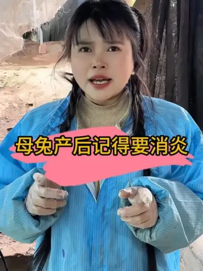 母兔产后记得消炎#养兔人 #养兔技术经验分享 #肉兔 #三农 #我的养殖生活