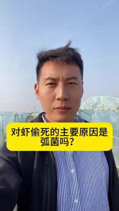 对虾偷死的主要原因是弧菌吗？#南美白对虾 #小棚养虾 #工厂化养虾 #养虾人 #创作灵感