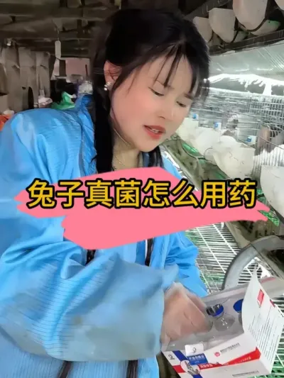 兔子长真菌就用 快克真菌#农村创业养殖 #养兔人 #养殖人 #肉兔养殖