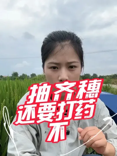 穗子抽齐，后面要不要打药了#分享农业知识帮农民增产增收 #老百姓关心的话题