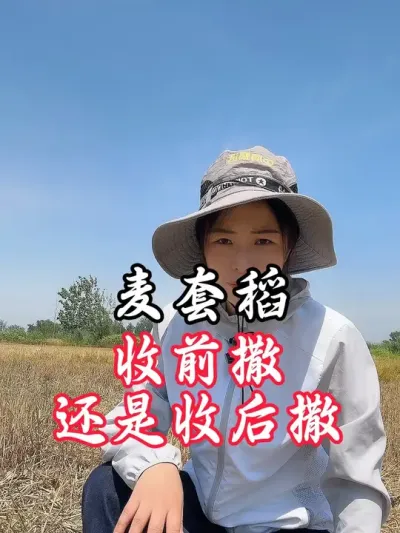 麦套稻需要注意的事#分享农业知识帮农民增产增收 #老百姓关心的话题 #农村生活