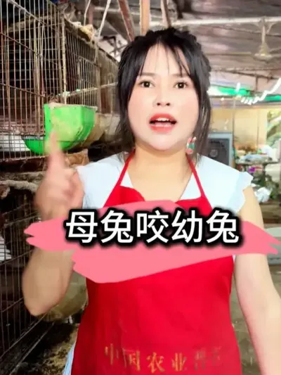 #农村创业养殖 #三农 #养殖 #养兔人