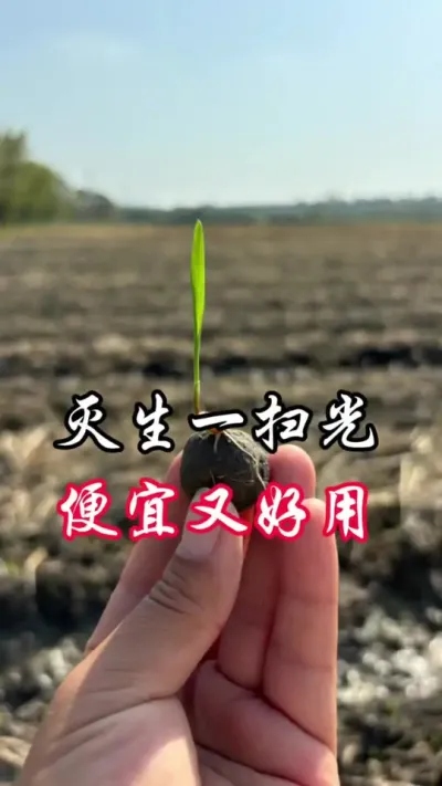 灭茬，真好用！#分享农业知识帮农民增产增收