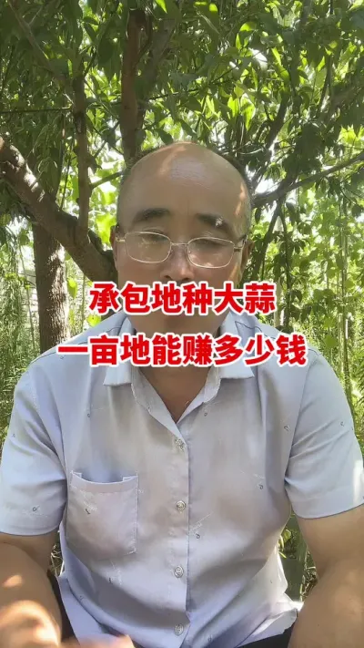 承包地种大蒜一亩地能赚多少钱#大蒜种植 #大蒜高产 #大蒜种植技术