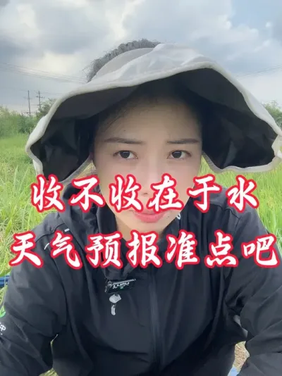 下雨吧，肥料都化不掉。叶片都卷的不照了#分享农业知识帮农民增产增收 #老百姓关心的话题