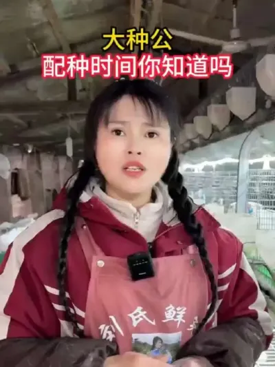 #兔子 #养兔人 #养兔技术 #肉兔养殖