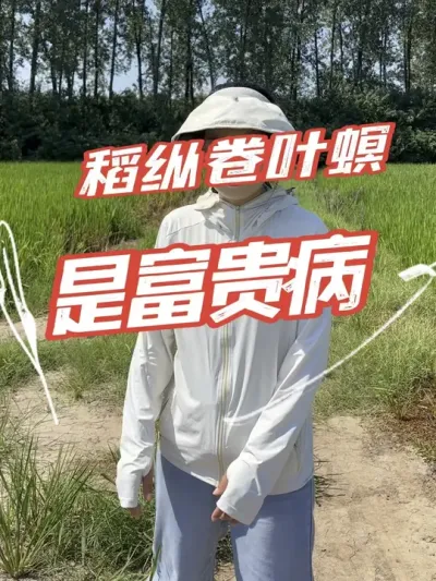 施肥晚，施肥多，产量高不高不好说，但是卷叶螟肯定多#分享农业知识帮农民增产增收 #老百姓关心的话题 #稻纵卷叶螟