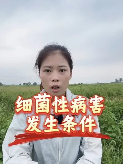 细菌性病害发生条件，该怎么防治，用什么药剂，一个视频说清楚#分享农业知识帮农民增产增收 #老百姓关心的话题