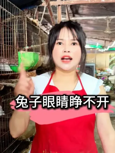 #养兔   #养兔人   #养兔三分靠管理七分靠技术   #养兔技术