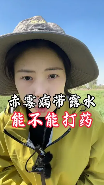 有露水能不能打药#分享农业知识帮农民增产增收 #老百姓关心的话题