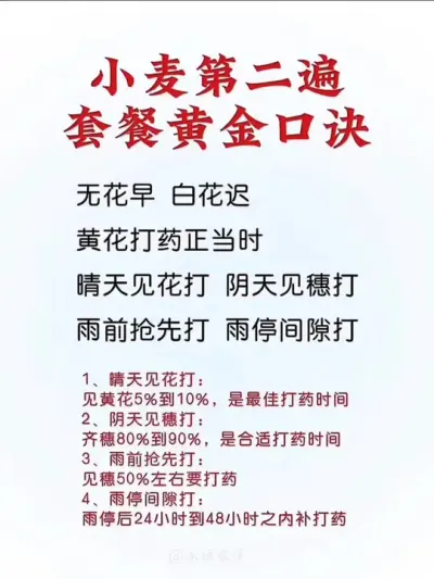 小麦第二遍套餐打药黄金口诀分享（珍藏版）#分享农业知识帮农民增产增收 #小麦 #传播农业小知识 #小麦高产技术 #农业植保知识分享