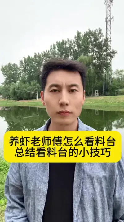 养虾老师傅怎么看料台，总结看料台的小技巧#南美白对虾 #小棚养虾 #冬棚养虾 #养虾人 #创作灵感