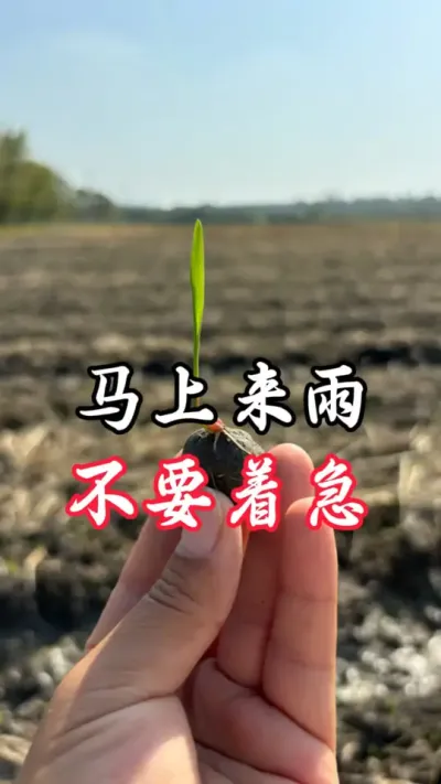 马上来雨，稳住！