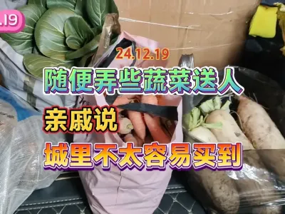 送给城里亲戚一些自己长的菜，他们说这些菜现在在城里很难买到 #纯天然绿色蔬菜 #农村生活 #抖音助农 #我的乡村生活 #三农 