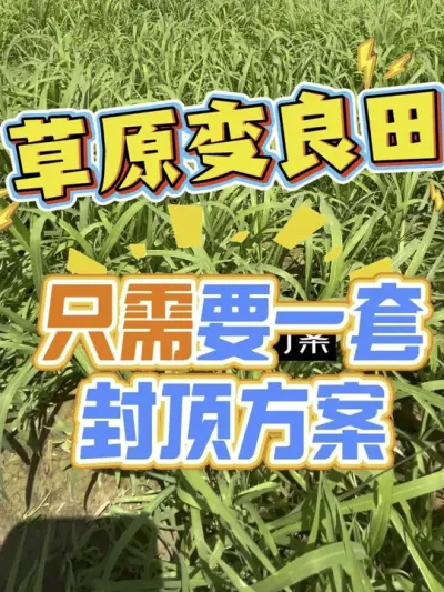 水直播、机插秧，稗草千金，选择封顶方案#老百姓关心的话题 #分享农业知识帮农民增产增收