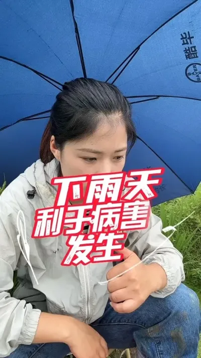 下雨天，要做好病虫防治#分享农业知识帮农民增产增收 #老百姓关心的话题