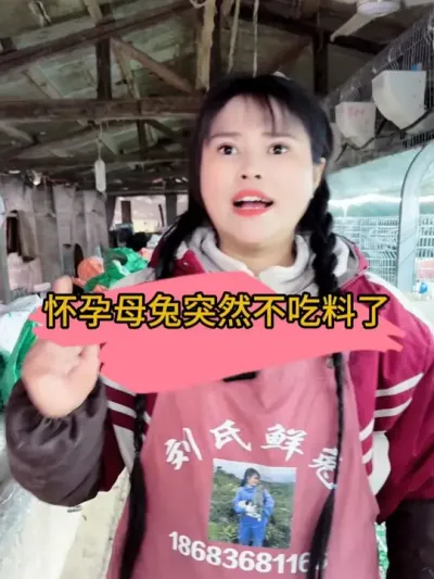 #养兔人   #养兔技术   #肉兔养殖   #养兔技术   #农村创业养殖