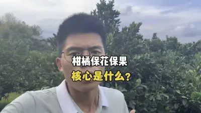柑橘的保花保果的核心到底是什么？ #保花保果 #柑橘 #农业 #三农种植 #生理落果 