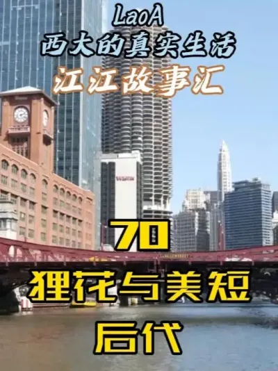 70-狸花与美短后代 