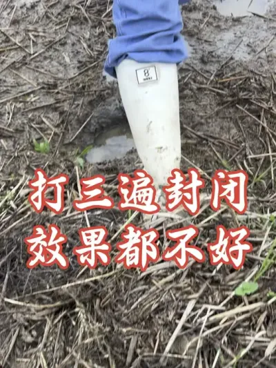 封闭效果不好，看看是不是这样的田#分享种植农业小知识 #老百姓关心的话题