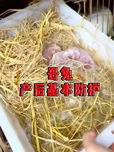 http:v.douyin.com0elK3clE-z0