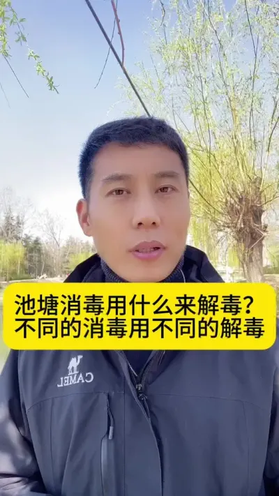 池塘消毒用什么来解毒？不同的消毒用不同的解毒#南美白对虾 #小棚养虾 #水产养殖 #冬棚养虾 #创作灵感