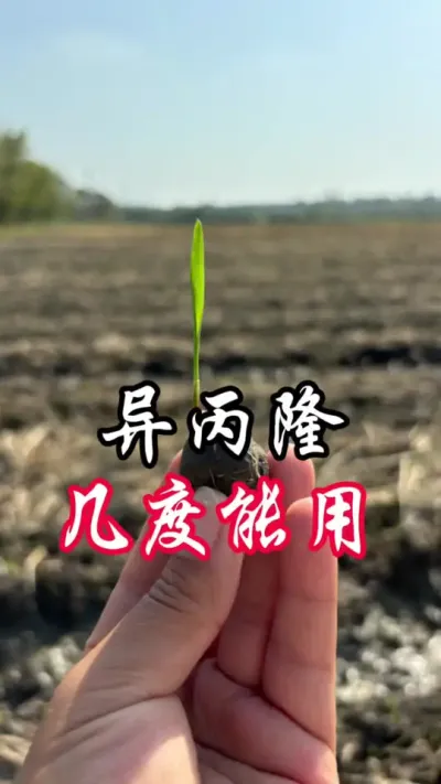 异丙隆，什么温度可以用#除草剂 #分享农业知识帮农民增产增收