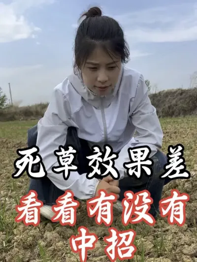 除草之前看一看，有帮助#老百姓关心的话题 #分享农业知识帮农民增产增收