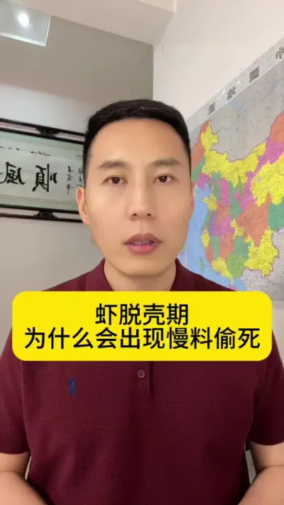 今天农历30，明天又初一了，虾子又该脱壳了，虾脱壳期为什么会出现慢料偷死呢？#对虾养殖 #南美白对虾 #养虾人 #土塘养虾 #创作灵感