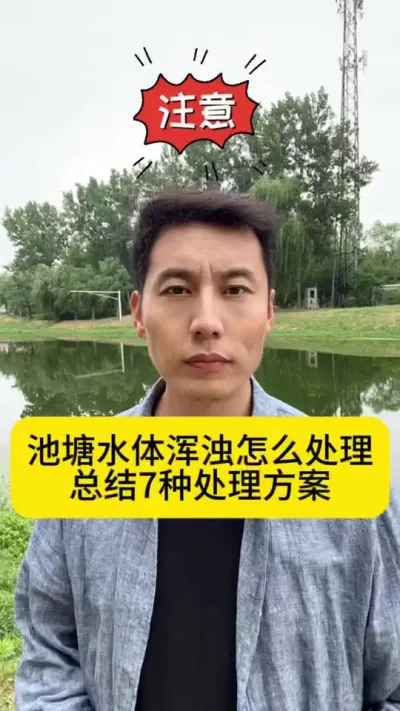 池塘水体浑浊怎么处理，总结7种处理方案#南美白对虾养殖 #养虾人 #小棚养虾 #冬棚养虾 #创作灵感