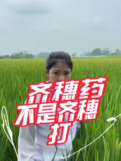 齐穗药，等齐穗大可就真的完了#分享农业知识帮农民增产增收 #老百姓关心的话题