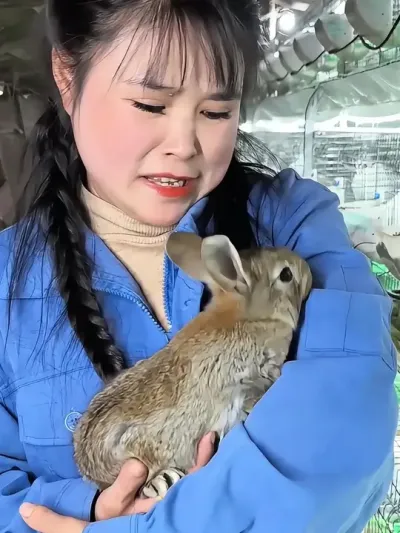 #肉兔养殖 #农村创业养殖 #我的养殖生活 #肉兔 #养兔人