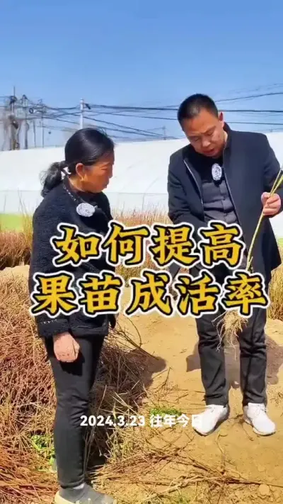 #农业种植小技巧 #甜瓜 生菜杨姐