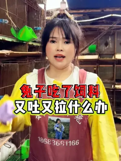 养兔#养兔人 #农村创业养殖 #兔子 #三农 #养兔人