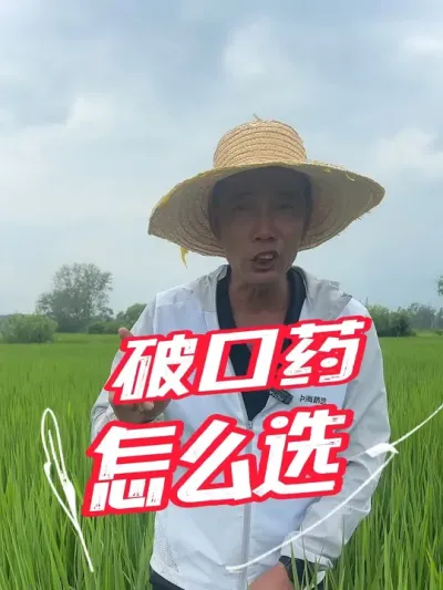 水稻破口一遍药至关重要，配方怎么选？#分享农业知识帮农民增产增收 #老百姓关心的话题
